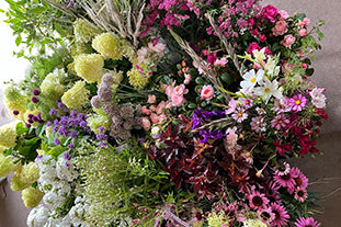 Tips for choosing flower colours for weddings & events