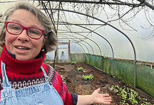 Early January on the flower farm
