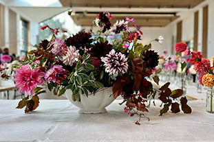 The Discovering Dahlia day at RHS Wisley