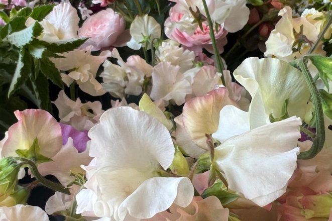 Small business workshops.....