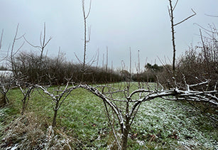 January news from the farm