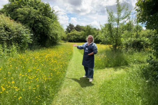 Visiting Common Farm Flowers in June