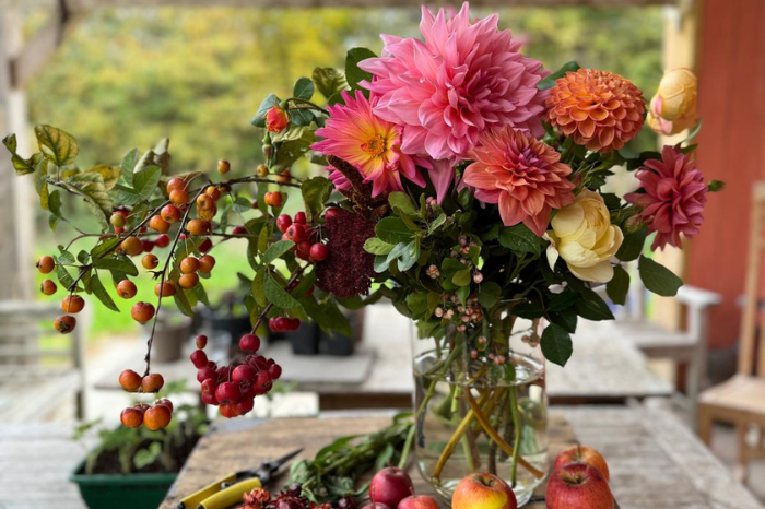 November news from the farm