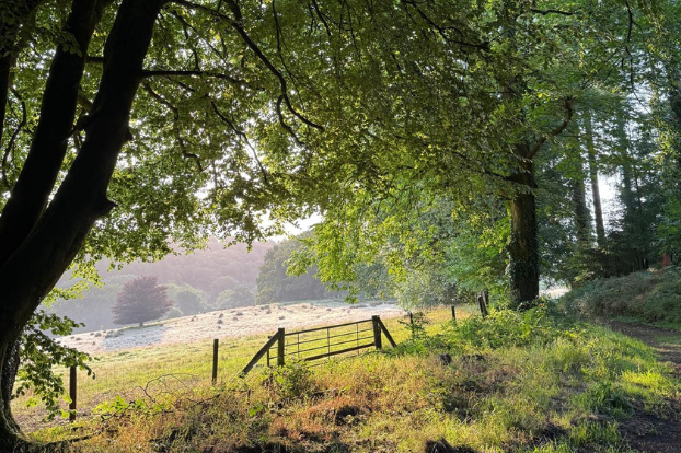 August whispers from the farm