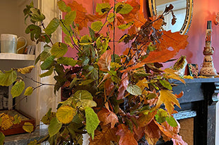 A leafy arrangement for Autumn