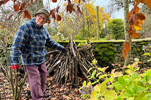 How to build a hedgehog house