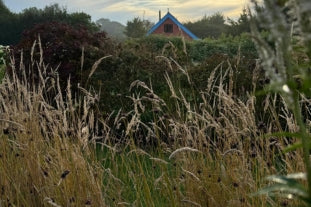 August news from the farm