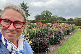 A visit to RHS Wisley for the dahlia trials