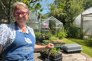Prepping for a photo shoot while getting on with an ordinary day's work on the flower farm