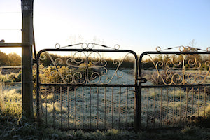 Frost is good for your garden