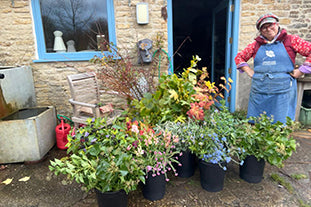 November tour of the flower farm