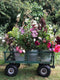 A bucket of seasonal, British grown eco friendly flowers available for collection or delivery to BA postcodes, for you to arrange as you please. Perfect for DIY wedding flowers, parties, thank yous. English country flowers from our cut flower farm in Somerset.