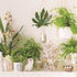 A taster for our Styling workshop