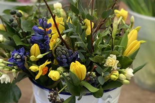 February in the garden - find out what's happening on our flower farm this month