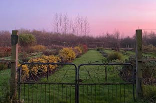 December in the garden - much to do!