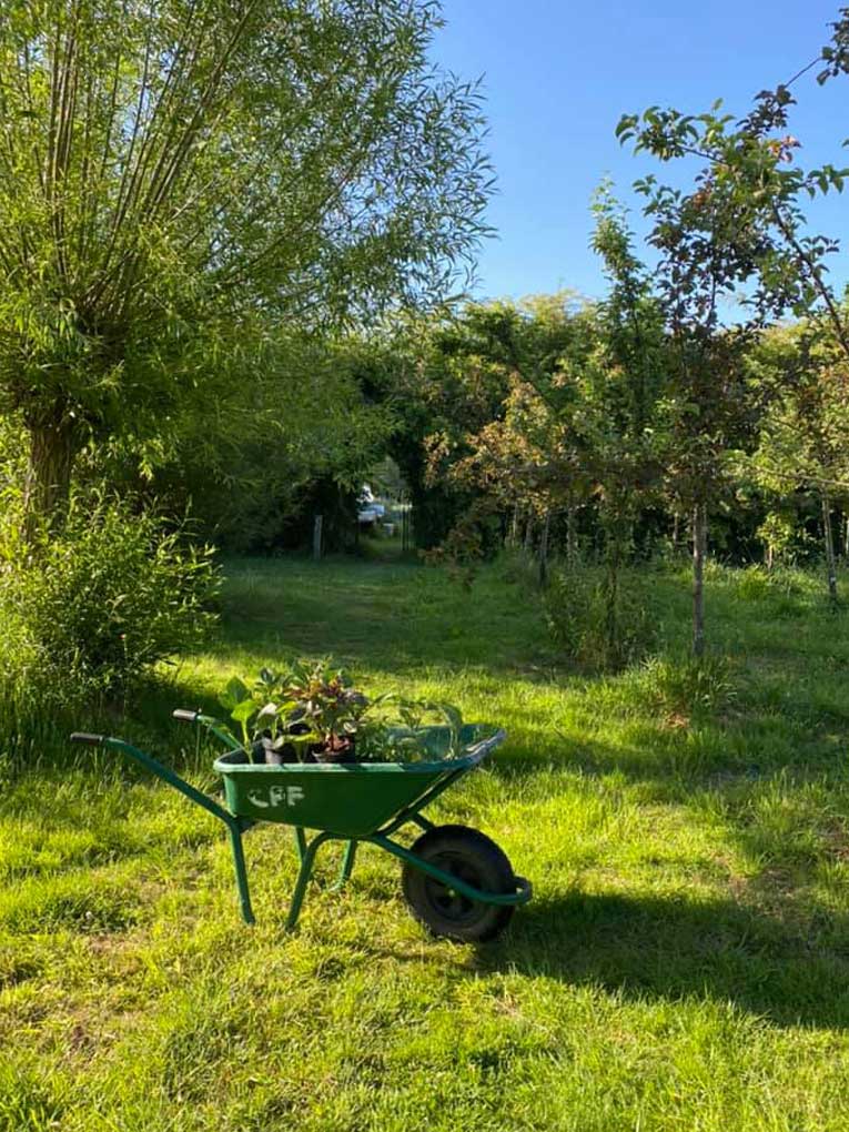 The Garden in August