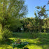 The Garden in August