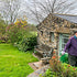 A spring tour around Mum's garden in Cumbria