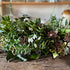 How I make a foraged winter funeral wreath
