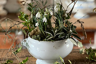 How I make a Kokedama inspired arrangement with snowdrops and twiggery pokery
