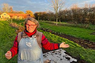 How we plant our tulip bulbs