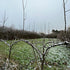 January news from the farm