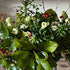 March in the garden
