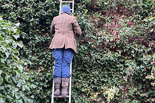 Cutting a large winter foliage wholesale order