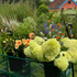 Autumn workshops with Georgie Newbery