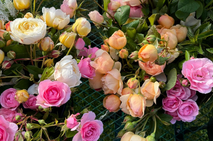 Exciting news for British Flowers Week
