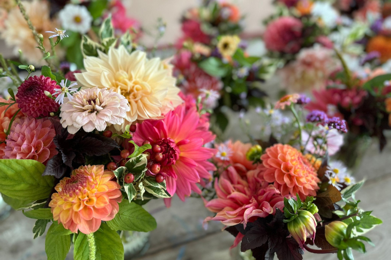 Coming up in September at Common Farm Flowers