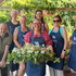 The Eco Floristry Retreat