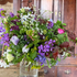 Last Chance: Order Sustainable Floristry Demo Recordings from April