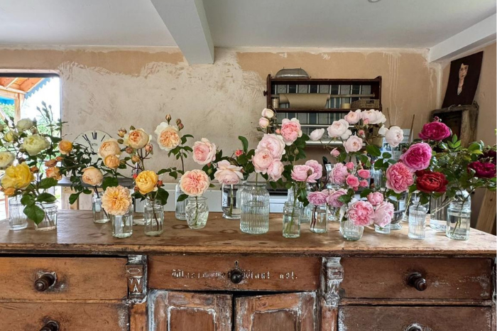 What's on at Common Farm Flowers this June?