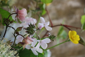 The flower delivery day