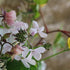 The flower delivery day