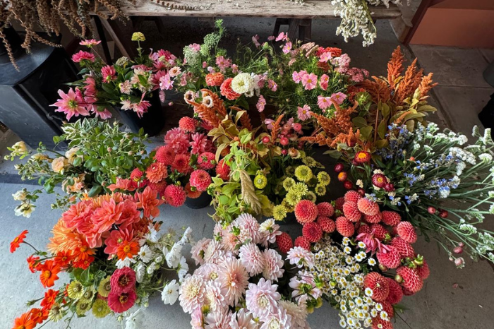 Autumn workshops