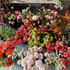 Autumn workshops
