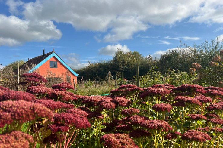 Flower farming workshops in 2026