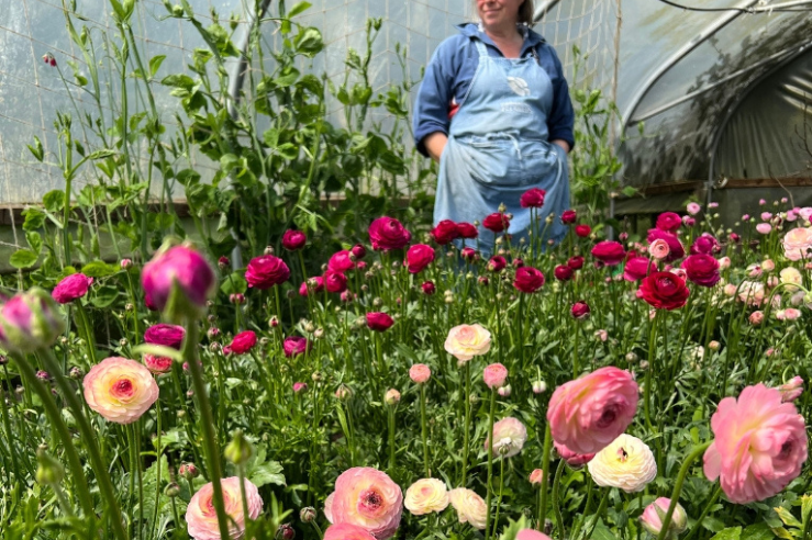 Coming up this week (10th November)