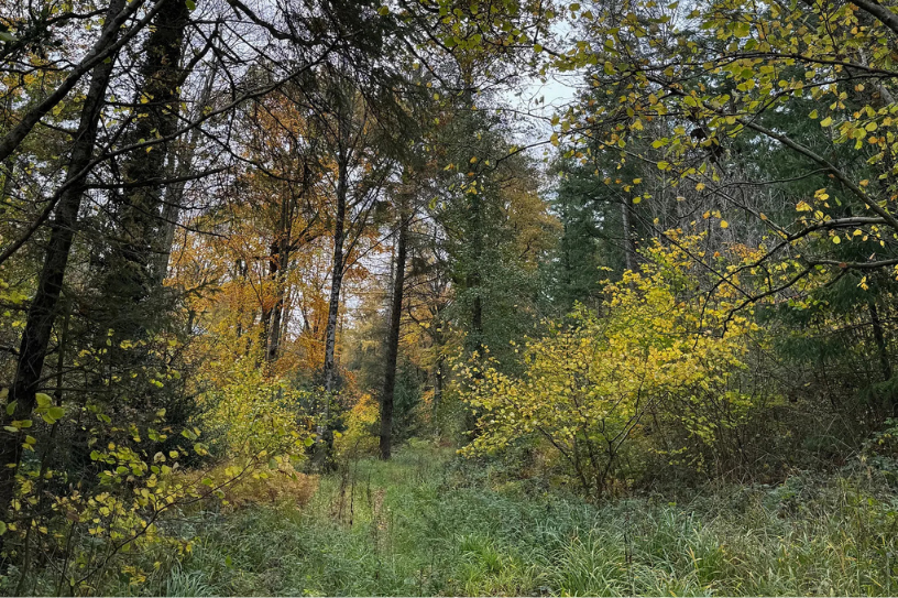 What is our lifestyle business retreat?