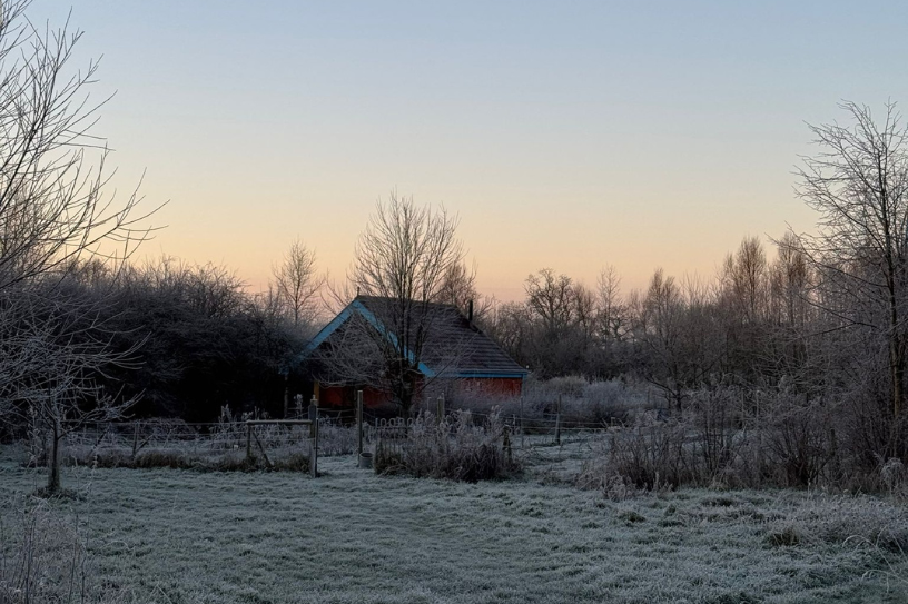 Coming up in the New Year