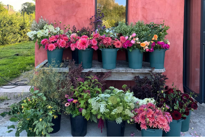 Aspiring, new or experienced flower farmer? We've workshops for you
