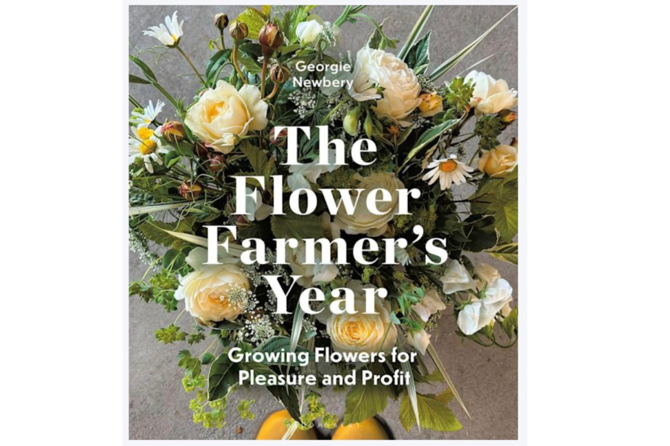 Why re-write a book from scratch?