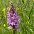 June news from the farm...or slow down and smell the roses
