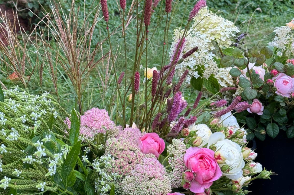 Still to come in February and March