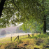 August whispers from the farm