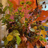A leafy arrangement for Autumn