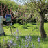 Art weekend at the flower farm