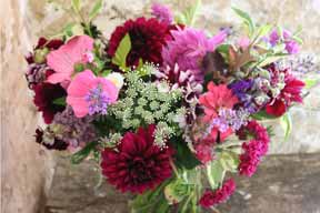 August in the garden